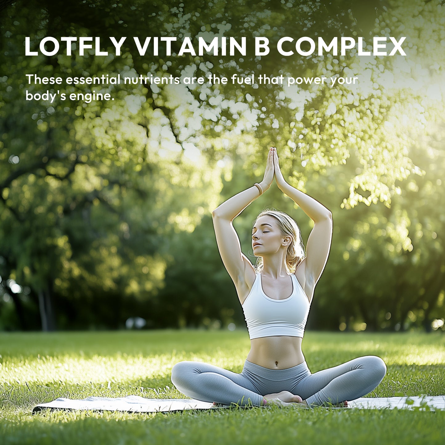 Super B Energy Complex