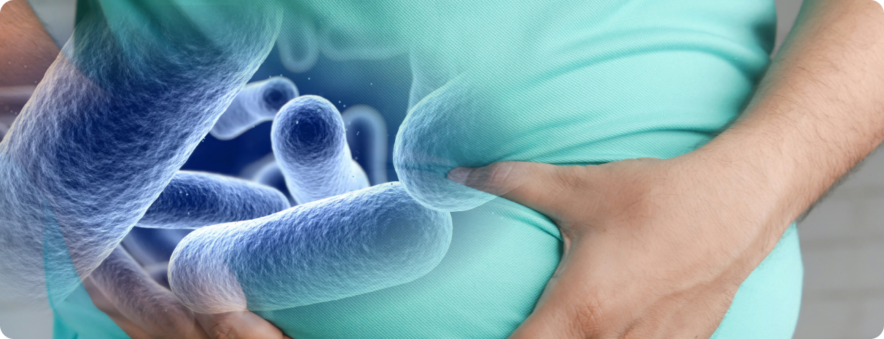 Do People Lose Weight on Akkermansia? Exploring the Science Behind This Gut Health Microbe