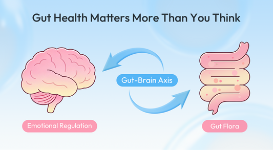 Your Gut: The Hidden Emotional Organ &amp; Gut-Brain Axis Connection