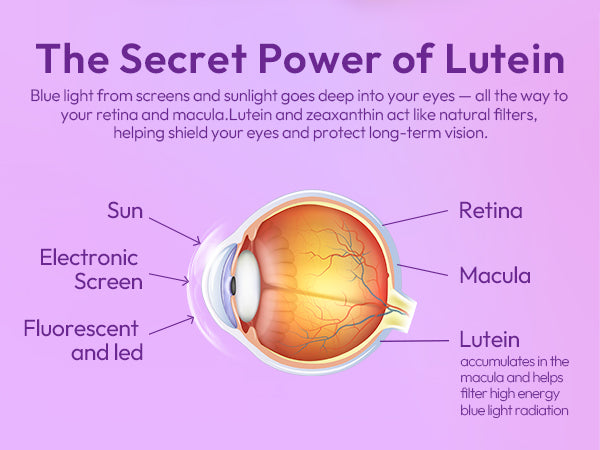 lotflycare