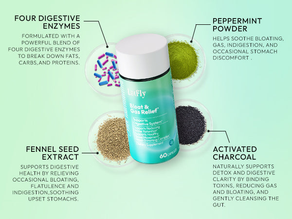 lotflycare