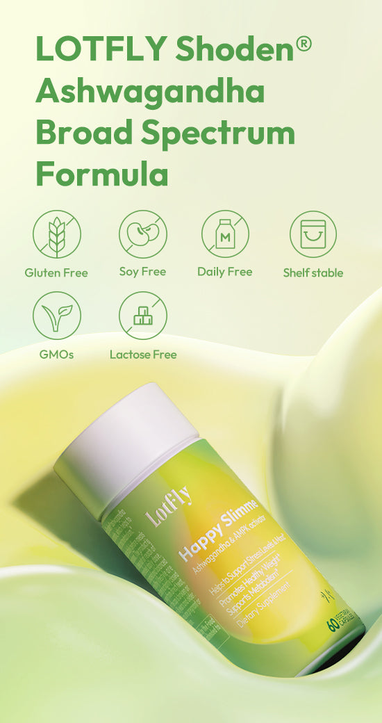 lotflycare