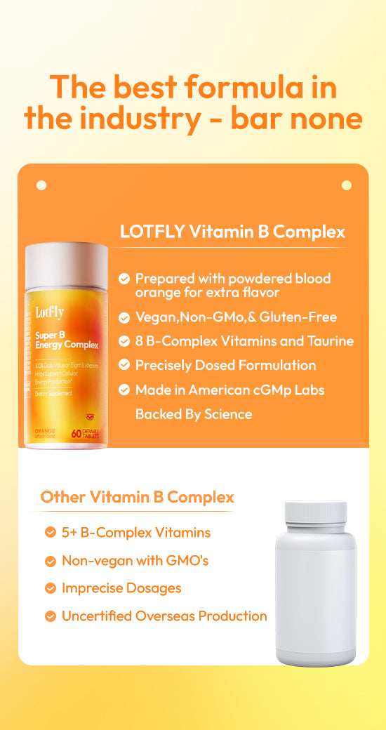 lotflycare