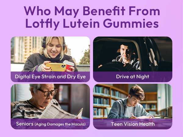 lotflycare