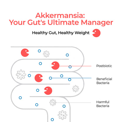 Akkermansia Plus 15 in 1 Complex-30 packs
