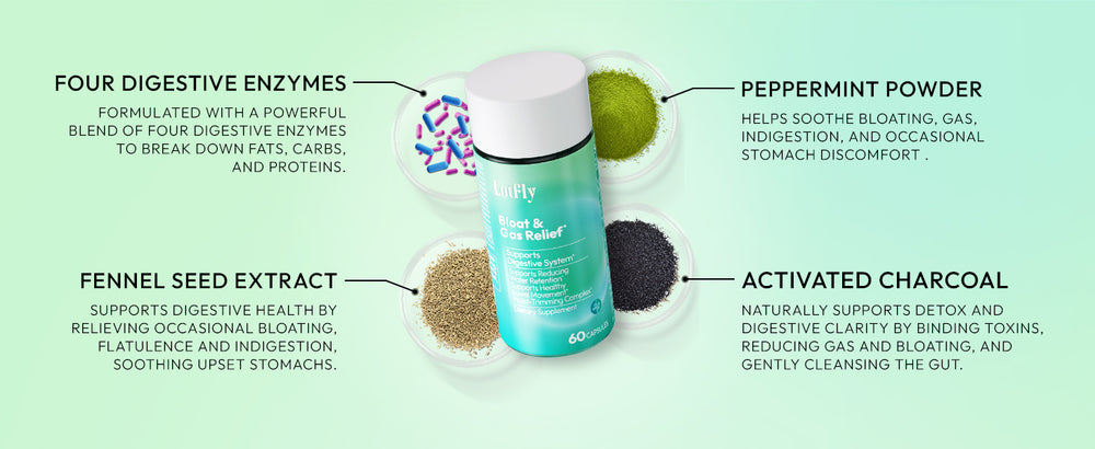lotflycare