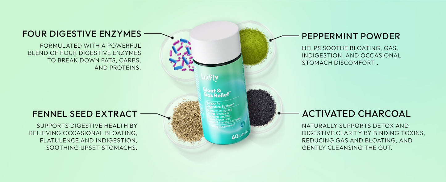 lotflycare