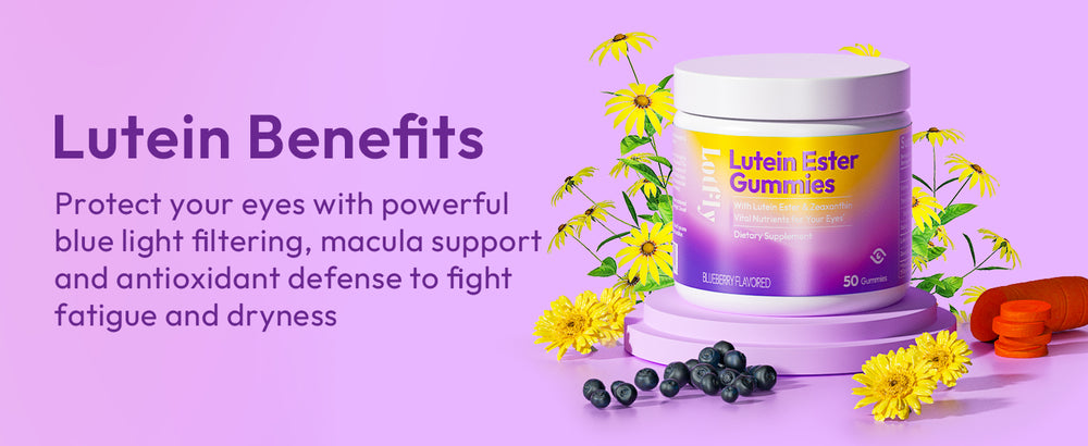 lotflycare
