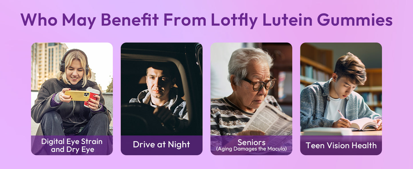 lotflycare