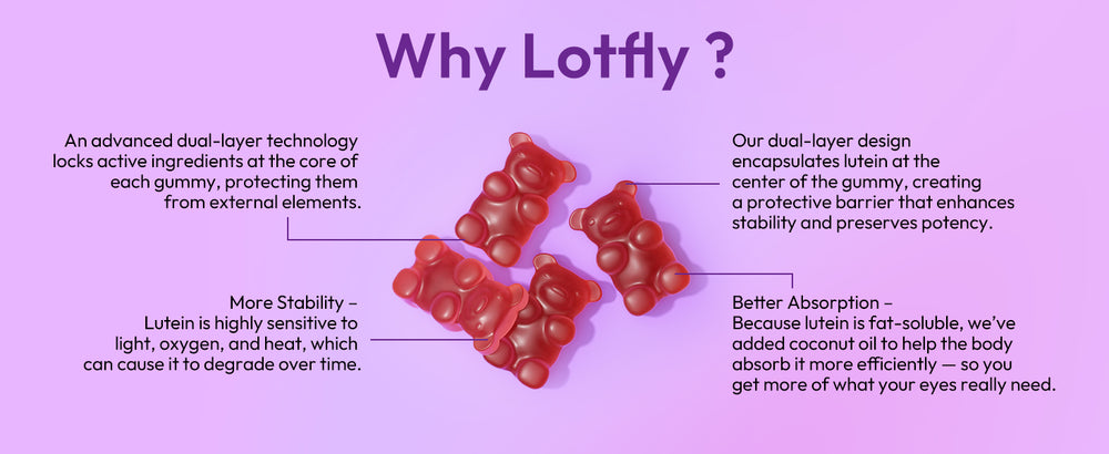 lotflycare